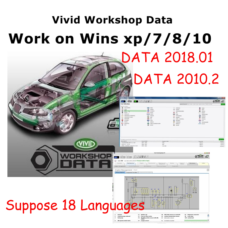 Workshop Tools English - DADOS da oficina vívida automotiva para